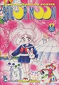 Sailor Moon, Vol. 17
