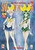 Sailor Moon, Vol. 29