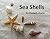 Sea Shells