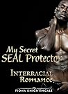 My Secret SEAL Protector