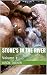 Stones in the River: Volume 1