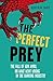 The Perfect Prey: The fall of ABN Amro, or: what went wrong in the banking industry