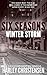 Winter Storm (Six Seasons #2)