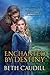 Enchanted by Destiny (Paran...