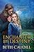 Enchanted by Destiny (Paranormals of Arilase Book 2)