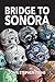 Bridge To Sonora: A novel
