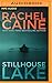 Stillhouse Lake (Stillhouse Lake, #1)