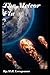 The Meteor Flu by M.R. Leenysman