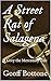 A Street Rat of Salagena: A...