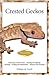 Crested Geckos