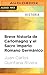 Breve historia de Carlomagno y el Sacro Imperio Romano Germánico (Spanish Edition)