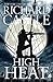 High Heat (Nikki Heat, #8)