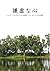 kenkyonakokoro by Sarat Chandra Chakravarty