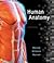 Human Anatomy
