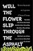 Will the Flower Slip Through the Asphalt by Vijay Prashad