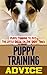 Puppy Training Advice: Puppy Training to Put The Little Rascal on The Right Track