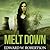 Melt Down (Breakers, #2)