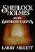 Sherlock Holmes and the Eisendorf Enigma