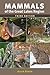 Mammals of the Great Lakes Region by Allen Kurta