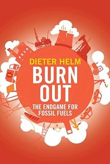 Burn Out by Dieter Helm