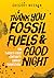 Thank You Fossil Fuels and Good Night: The 21st Century's Energy Transition