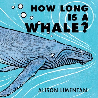 How Long Is a Whale? (Wild Facts & Amazing Math)