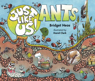 Just Like Us! Ants (Hardcover)