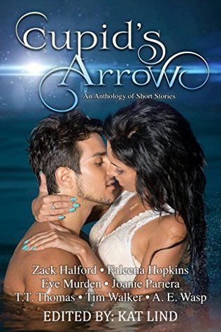 Cupid's Arrow (Kindle Edition)