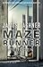 Feberen (Maze Runner, #5)