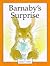 Barnaby's Surprise by Anna Currey