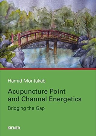 Acupuncture Point and Channel Energetics: Bridging the Gap (Hardcover)