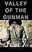 Valley of the Gunman: Deputy U.S. Marshal Jake Stone Western Adventure (Deputy U.S. Marshal Jake Stone Western Series Book 1)