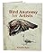 Bird Anatomy for Artists