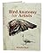 Bird Anatomy for Artists