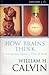 How Brains Think: Evolving Intelligence, Then And Now