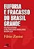 Euforia e fracasso do Brasil grande: política externa e multinacionais brasileiras da Era Lula (Portuguese Edition)