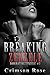 Breaking Zenzele (Dominating Zenzele Book 2)