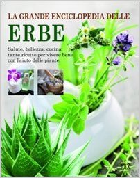 La Grande Enciclopedia delle Erbe (Paperback)