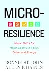 Micro-Resilience:...