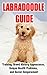 Labradoodle Training Guide: Training, Breed History, Appearance, Unique Health Problems, and Social Temperament
