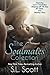 The Soulmates Collection by S.L. Scott