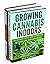 Cannabis: Growing Cannabis ...