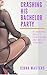 Crashing His Bachelor Party: A Cheating Bride's Humiliating and Messy Revenge (Cheating Brides and Evil Wives Collection)