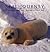 Seal Journey