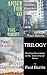 Trilogy: The First Three Books in the "Amber For Go" Series