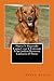 Nuevo Y Mejorado Como Criar Y Entrenar A Su Golden Retriever Cachorro O Perro (Spanish Edition)