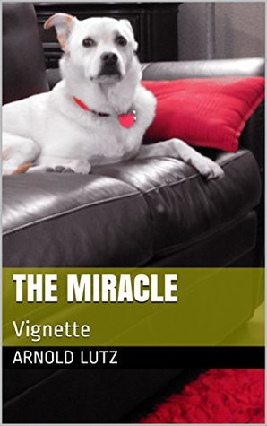 The Miracle: Vignette (Kindle Edition)