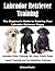 Labrador Retriever Training by Brittany Boykin