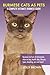 Burmese Cats as Pets: Burmese Cat Facts & Information, where to buy, health, diet, lifespan, types, breeding, care and more! A Complete Ultimate Burmese Guide