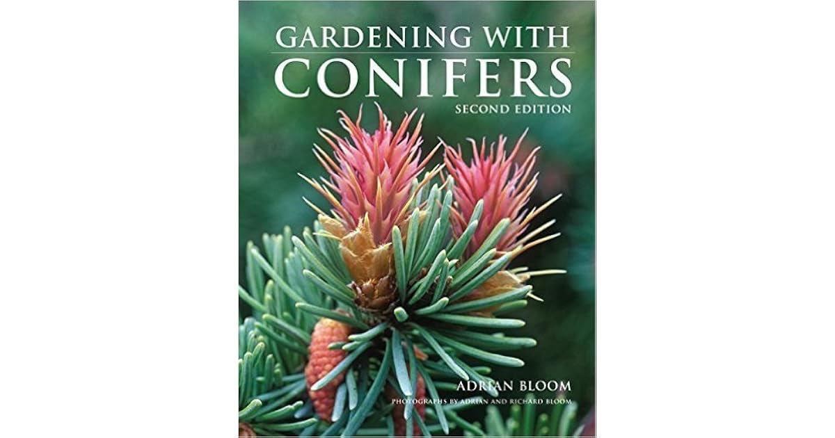 Gardening with Conifers by Adrian Bloom